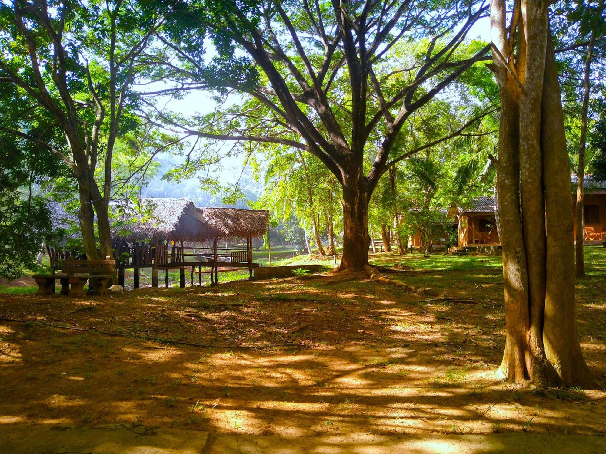 Hotel Nuwa Serenity River Retreat Udawalawe Exteriér fotografie