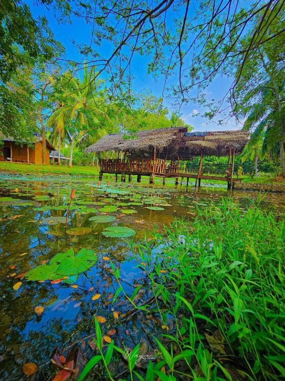 Hotel Nuwa Serenity River Retreat Udawalawe Exteriér fotografie